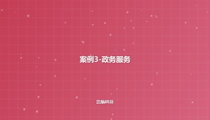 政务服务案例